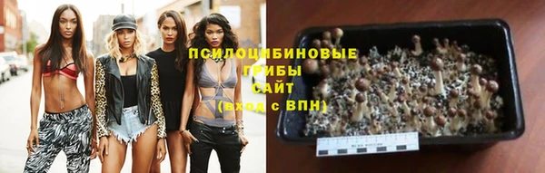 таблы Михайлов