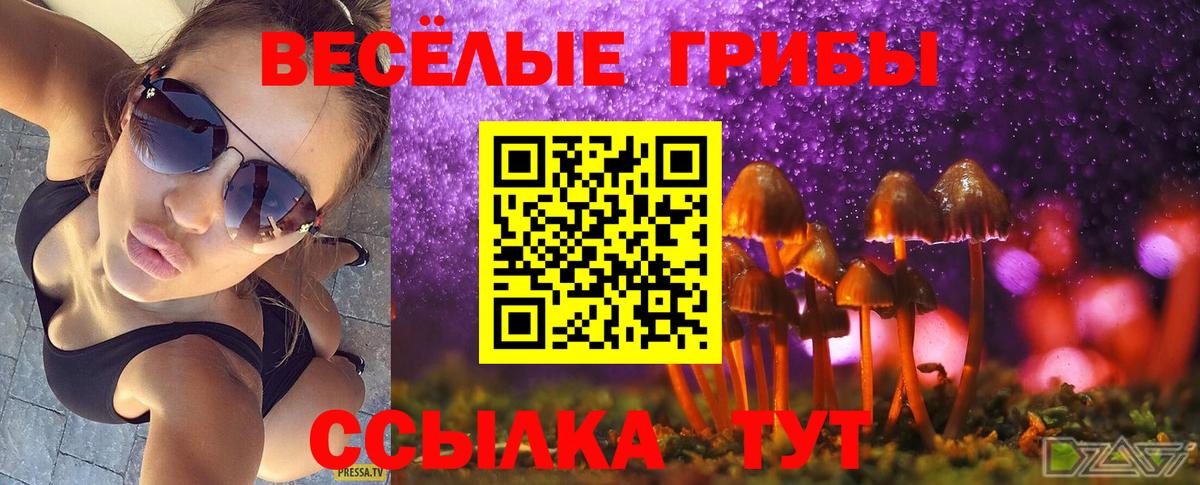 Псилоцибиновые грибы мухоморы Зеленодольск