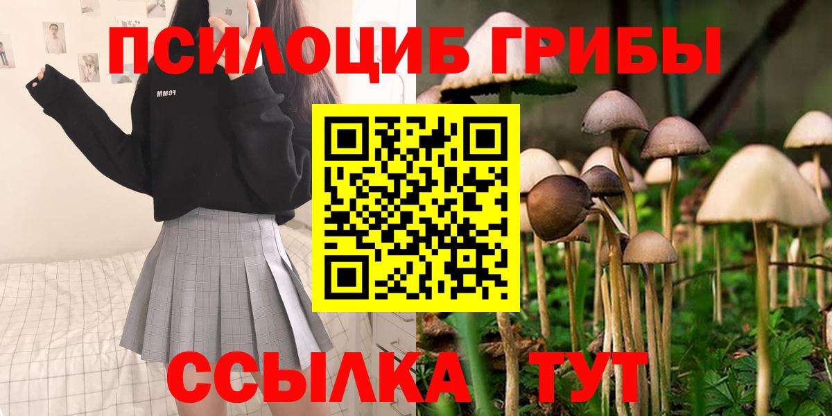 закладка  Галлюциногенные грибы GOLDEN TEACHER  Вход с VPN  Зеленодольск 